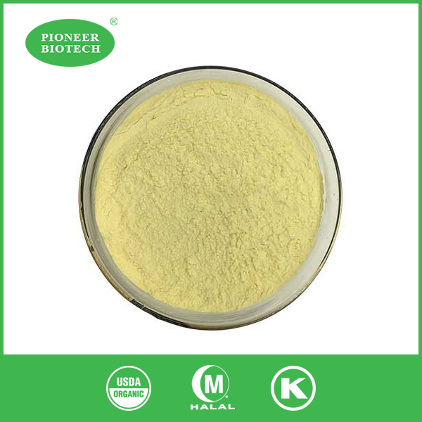 Fucoxanthin Powder
